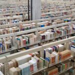 livros-estantes-bibliotecaria-uefs-foto-jefferson-araujo-acorda-cidade