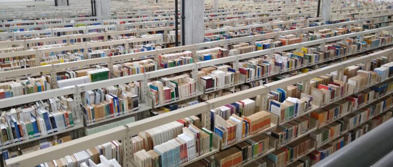 livros-estantes-bibliotecaria-uefs-foto-jefferson-araujo-acorda-cidade