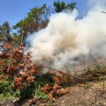 maconha-sendo-queimada-foto-Divulgacao-Policia-Militar-DCS