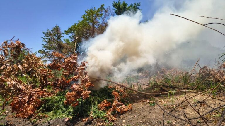 maconha-sendo-queimada-foto-Divulgacao-Policia-Militar-DCS