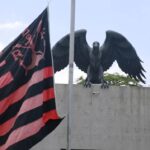 ninho-do-urubu-flamengo-foto-tomaz-silva-agencia-brasil
