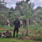 operacao-em-ilheus-foto-ficco-3