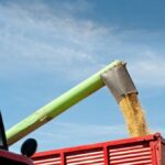 producao-agricola-foto-divulgacao-seagri-ba-2