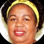 servidora-aposentada-silencio-camara