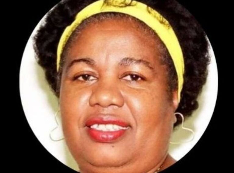 servidora-aposentada-silencio-camara