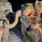 sucuri-zona-urbana-porto-seguro-bahia-foto-reproducao-