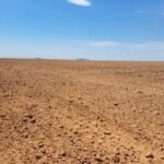 terra-vazio-sanitario