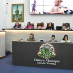 Audiencia-publica-na-camara-pelos-21-dias-de-ativismo-contra-a-violencia-das-mulheres-1-1