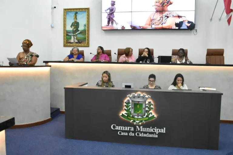 Audiencia-publica-na-camara-pelos-21-dias-de-ativismo-contra-a-violencia-das-mulheres-1-1