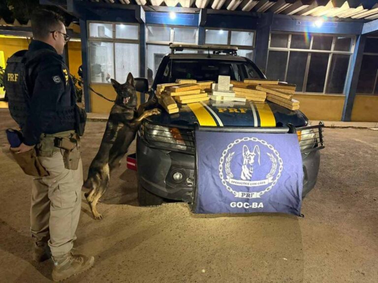 BR-116-PRF-apreende-drogas-Foto-PRF-111125