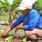 Card-Edital-Viva-Horta-NOTICIA