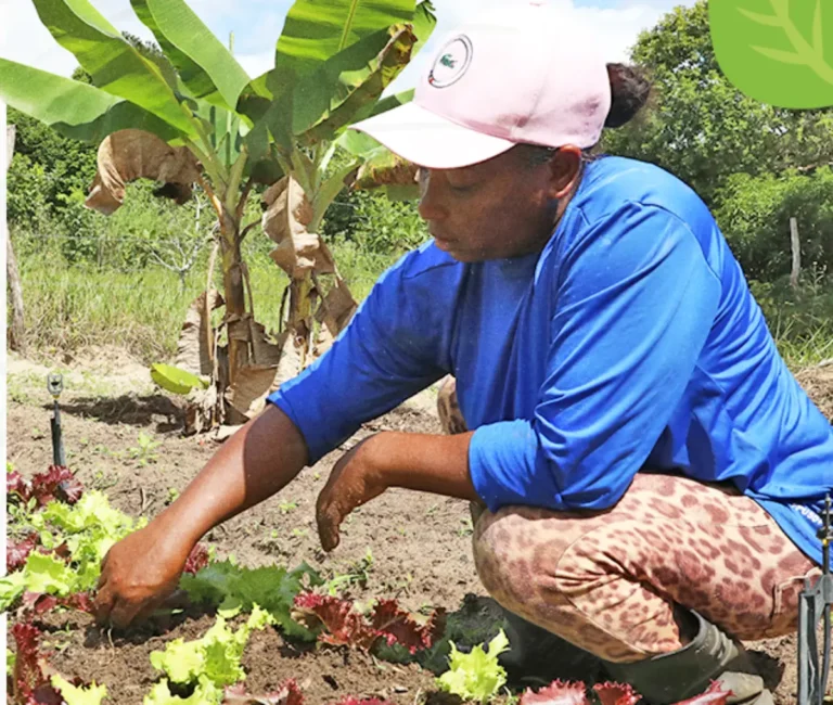 Card-Edital-Viva-Horta-NOTICIA