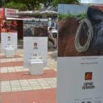 Exposicao-cenas-urbanas-Foto-Apolo-Rocha-19