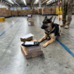 Fiscalizacao-realizada-no-Centro-de-Operacoes-dos-Correios-Foto-Ascom-PCBA-3-141125