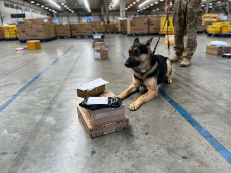 Fiscalizacao-realizada-no-Centro-de-Operacoes-dos-Correios-Foto-Ascom-PCBA-3-141125