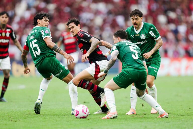 Flamengo-e-Palmeiras-Foto-Gilvan-de-Souza-Flamengo-041125