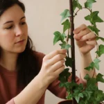 Hera-inglesa-como-evitar-que-cresca-torta-com-2-ajustes-no-tutor-1280x720-1