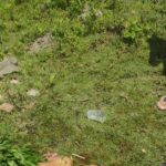 Homem-e-espancado-com-golpes-de-porrete-no-bairro-Campo-Limpo