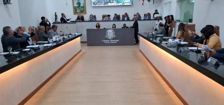 M0NEri7p-Audiencia-publica-na-Camara-Municipal-sobre-o-aeroporto-ft-Paulo-Jose-acorda-cidade4