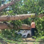 Pastor-sofre-prejuizo-com-carro-atingido-por-arvore-em-Feira-de-Santana-2