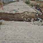 Rua-Caminho-Verde-Foto-Paulo-Jose-Acorda-Cidade-241102