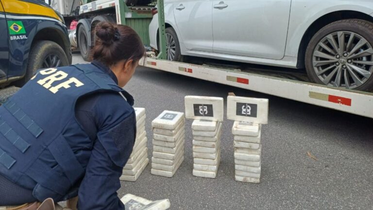 apreensao-da-PRF-foto-divulgacao-