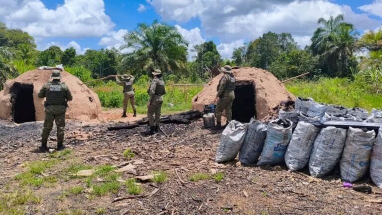 apreensao-de-carvao-irregular-foto-divulgacao-