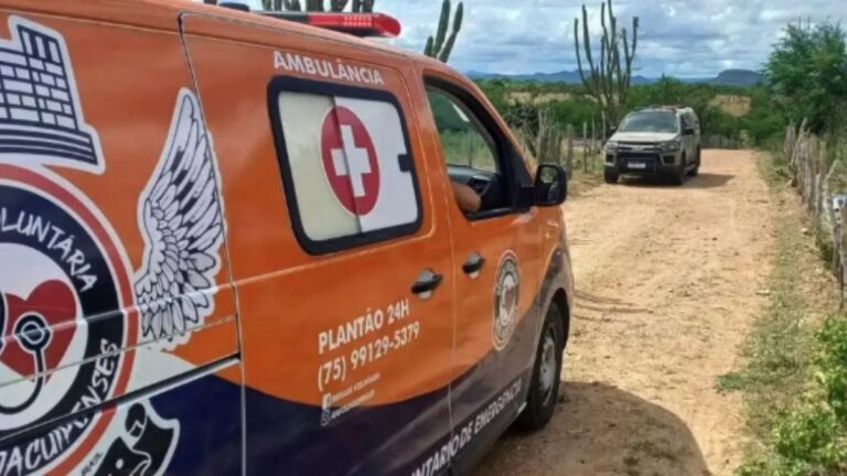 brigada-voluntaria-anjos-jacuipenses-foto-reproducao-