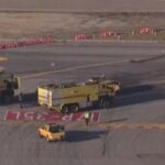 cachorro-no-aeroporto-foto-reproducao-tv-globo-2