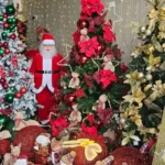 decoracao-natalina-ft-Paulo-Jose-acorda-cidade
