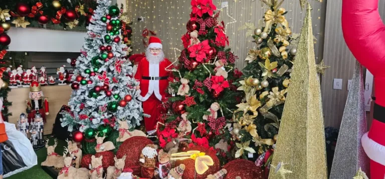 decoracao-natalina-ft-Paulo-Jose-acorda-cidade