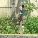 jovem-morto-por-leoa-em-Joao-Pessoa-na-paraiba-foto-reproducao-redes-sociais-