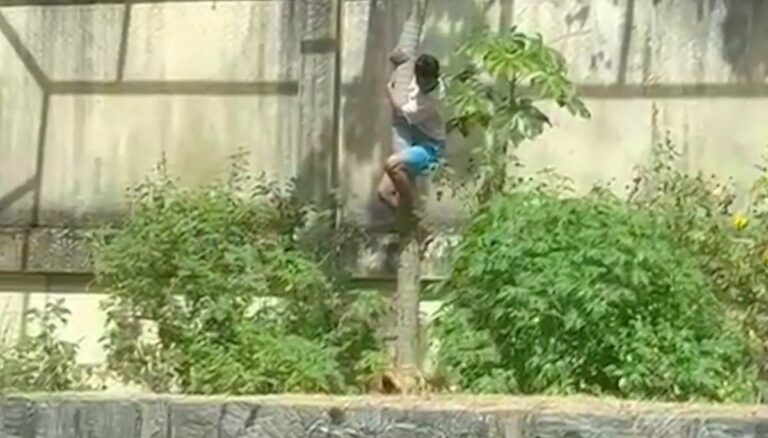 jovem-morto-por-leoa-em-Joao-Pessoa-na-paraiba-foto-reproducao-redes-sociais-