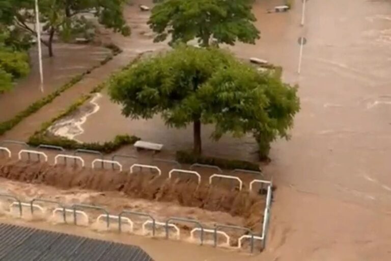 macaubas-foto-reproducao-achei-sudoeste-1