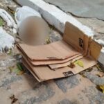 Cranio-e-encontrado-em-Inhambupe-policia-investiga-relacao-com-furto-em-cemiterio-Foto-Redes-Sociais