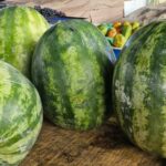 Feirinha-da-Estacao-Nova-Foto-Paulo-Jose-Acorda-Cidade-2