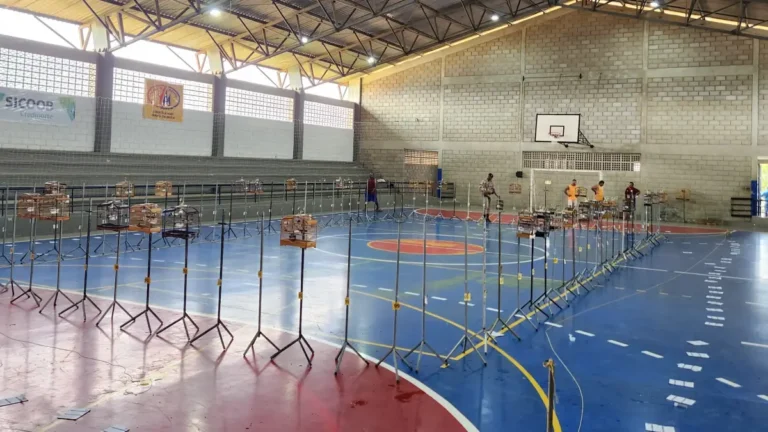 Operacao-contra-contrabando-de-animais-silvestres