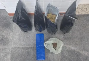 apreensao-de-drogas-