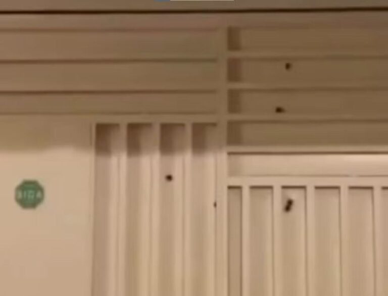 ataque-a-tiros-em-casa-de-policial-militar-foto-redes-sociais