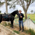 cavalo-capitao-mariquita-morre-ataque-abelhas-jacobina-foto-reproducao