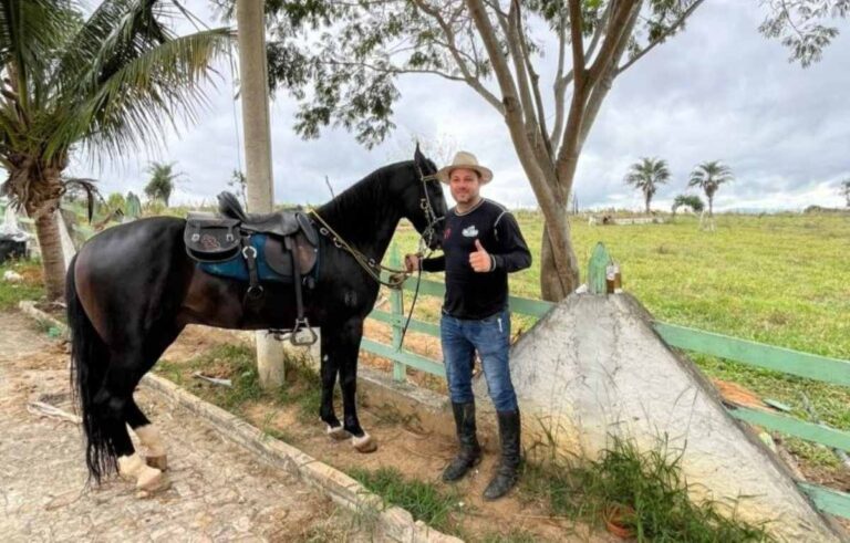 cavalo-capitao-mariquita-morre-ataque-abelhas-jacobina-foto-reproducao