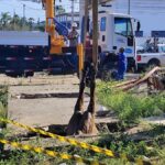 cavalo-morre-apos-cair-em-buraco-no-bairro-tomba-foto-reproducao-