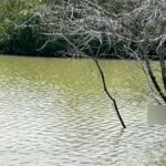 corpo-encontrado-no-corrego-foto-reproducao-