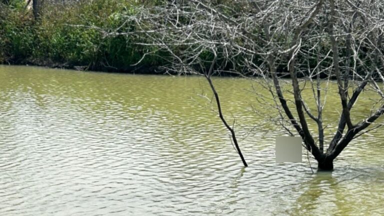 corpo-encontrado-no-corrego-foto-reproducao-