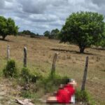 crime-contra-mulher-trans-foto-redes-sociais