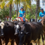 fundacao-bradessco-abre-vagas-em-curso-em-agropecuaria-foto-Ronaldo-Aguiar-