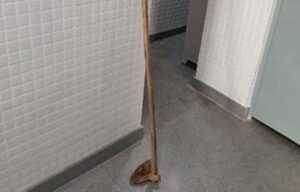 homem-ameaca-mae-com-enxada-palmas-de-monte-alto-foto-reproducao