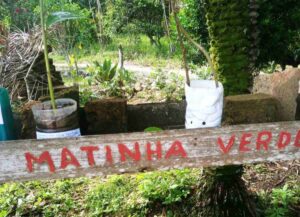 projeto-matinha-verde-arquivo-pessoal-4