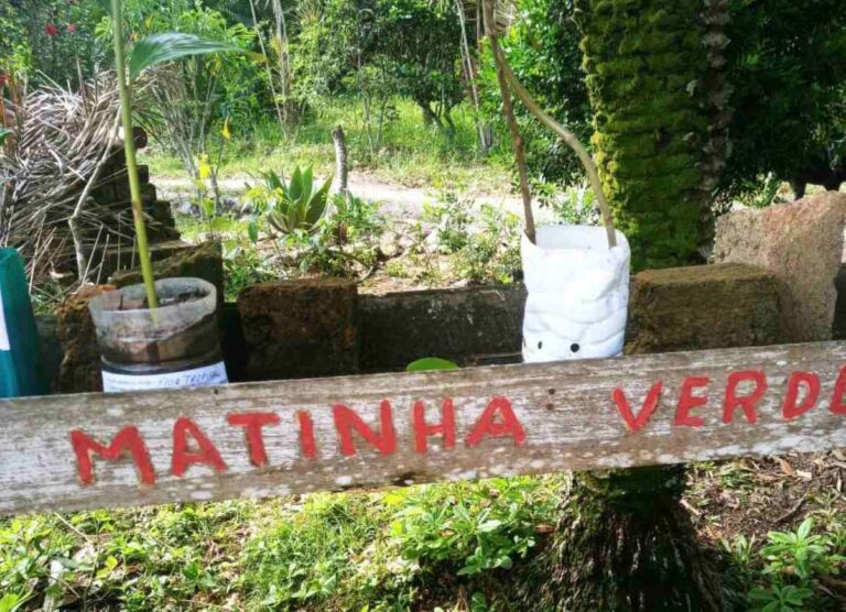 projeto-matinha-verde-arquivo-pessoal-4