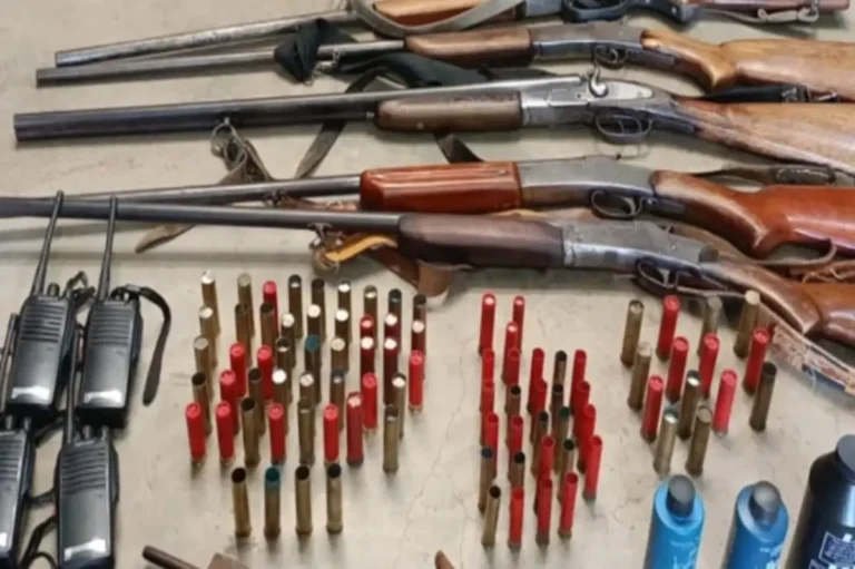 0919-achei-sudoeste-caca-ilegal-em-erico-cardoso